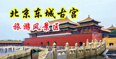 快操我这个骚货要鸡巴视频中国北京-东城古宫旅游风景区